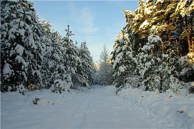 RTX 4080显卡IGN 8分：性能对得起价格